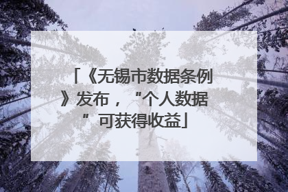 《无锡市数据条例》发布，“个人数据”可获得收益