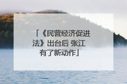 《民营经济促进法》出台后 张江有了新动作