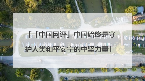「中国网评」中国始终是守护人类和平安宁的中坚力量