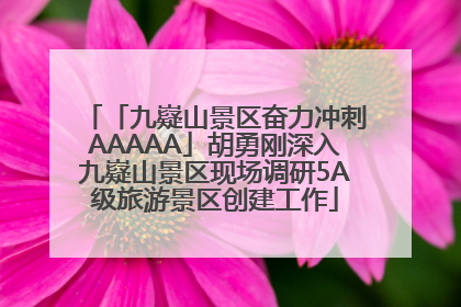 「九嶷山景区奋力冲刺AAAAA」胡勇刚深入九嶷山景区现场调研5A级旅游景区创建工作