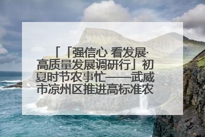 「强信心 看发展·高质量发展调研行」初夏时节农事忙——武威市凉州区推进高标准农田建设见闻