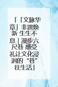 「文脉华章」非遗焕新 生生不息｜漫步六尺巷 感受礼让文化浸润的“巷”往生活