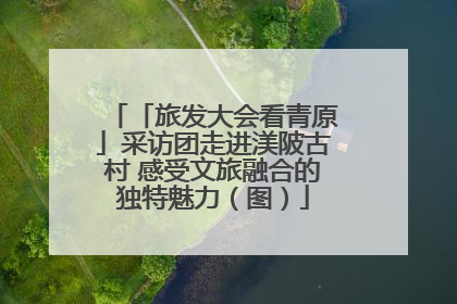 「旅发大会看青原」采访团走进渼陂古村 感受文旅融合的独特魅力（图）