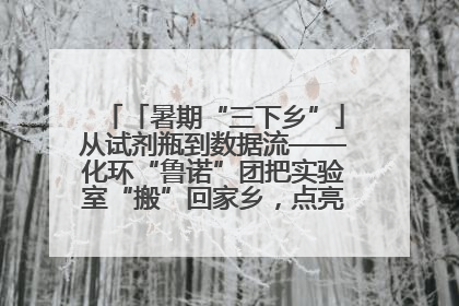 「暑期“三下乡”」从试剂瓶到数据流——化环“鲁诺”团把实验室“搬”回家乡，点亮桑梓求知路