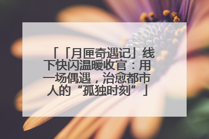 「月匣奇遇记」线下快闪温暖收官：用一场偶遇，治愈都市人的“孤独时刻”