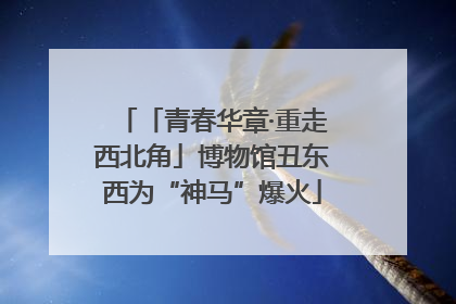 「青春华章·重走西北角」博物馆丑东西为“神马”爆火