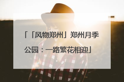 「风物郑州」郑州月季公园：一路繁花相迎