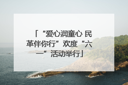 “爱心润童心 民革伴你行”欢度“六一”活动举行