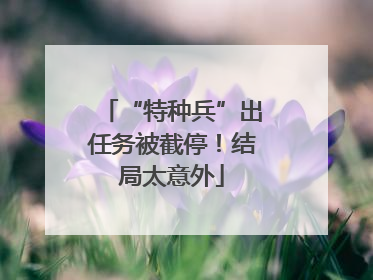 “特种兵”出任务被截停！结局太意外