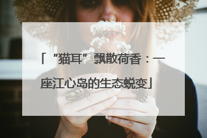 “猫耳”飘散荷香：一座江心岛的生态蜕变