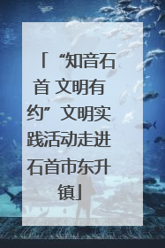 “知音石首 文明有约”文明实践活动走进石首市东升镇