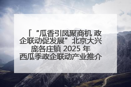 “瓜香引凤聚商机 政企联动促发展”北京大兴庞各庄镇 2025 年西瓜季政企联动产业推介活动圆满举行