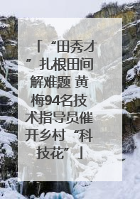 “田秀才”扎根田间解难题 黄梅94名技术指导员催开乡村“科技花”