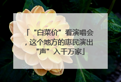 “白菜价”看演唱会，这个地方的惠民演出“声”入千万家