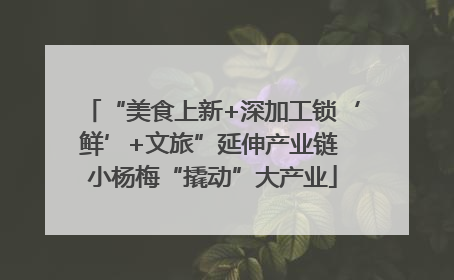 “美食上新+深加工锁‘鲜’+文旅”延伸产业链 小杨梅“撬动”大产业