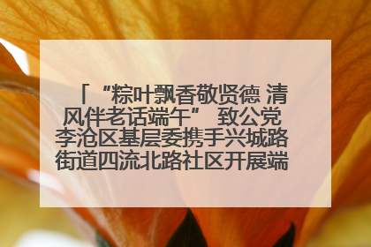 “粽叶飘香敬贤德 清风伴老话端午” 致公党李沧区基层委携手兴城路街道四流北路社区开展端午节主题活动