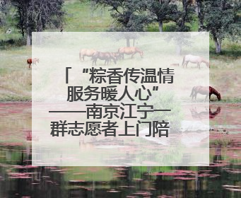 “粽香传温情 服务暖人心”——南京江宁一群志愿者上门陪独居老人包粽子送去节日的欢乐