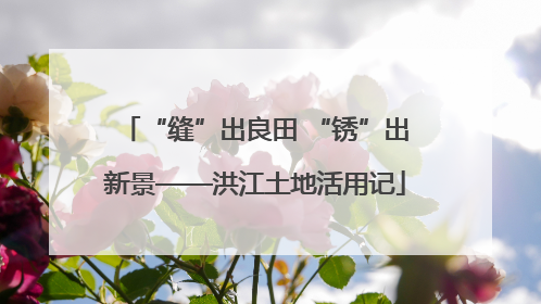 “缝”出良田 “锈”出新景——洪江土地活用记