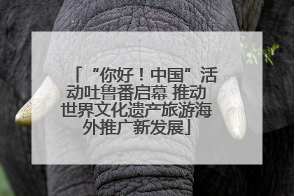 “你好！中国”活动吐鲁番启幕 推动世界文化遗产旅游海外推广新发展