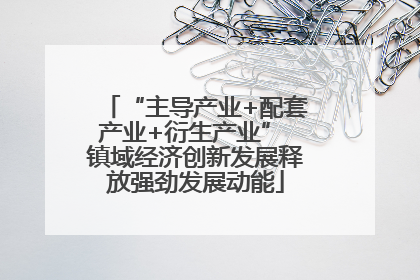 “主导产业+配套产业+衍生产业” 镇域经济创新发展释放强劲发展动能