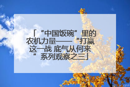 “中国饭碗”里的农机力量——“打赢这一战 底气从何来”系列观察之三