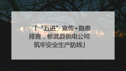 “五进”宣传+隐患排查，修武县供电公司筑牢安全生产防线