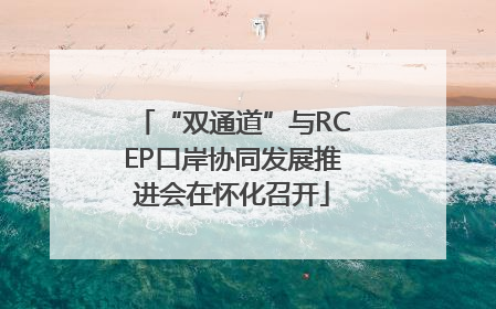 “双通道”与RCEP口岸协同发展推进会在怀化召开