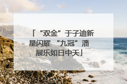 “双金”于子迪新星闪耀 “九冠”潘展乐如日中天