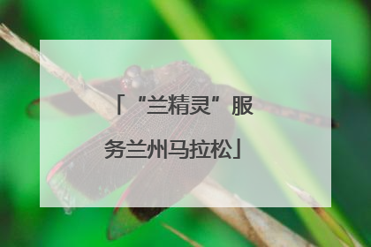 “兰精灵”服务兰州马拉松