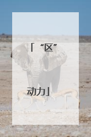 “区”动力
