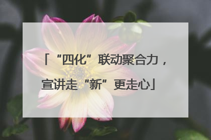 “四化”联动聚合力，宣讲走“新”更走心