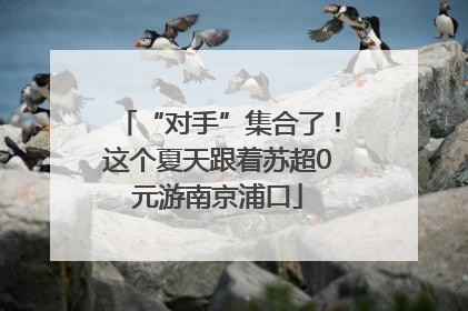 “对手”集合了！这个夏天跟着苏超0元游南京浦口