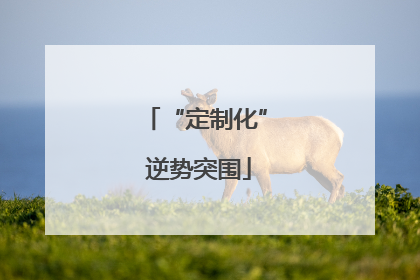 “定制化” 逆势突围
