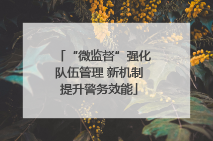 “微监督”强化队伍管理 新机制提升警务效能