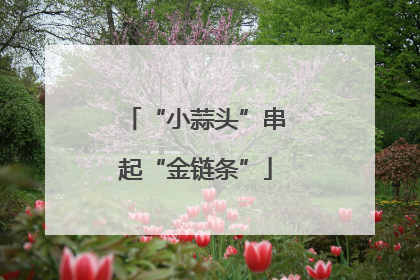 “小蒜头”串起“金链条”