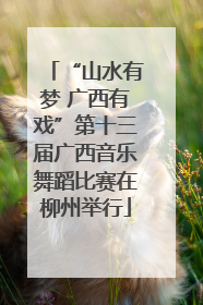 “山水有梦 广西有戏”第十三届广西音乐舞蹈比赛在柳州举行