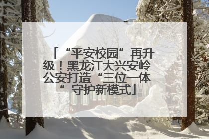 “平安校园”再升级！黑龙江大兴安岭公安打造“三位一体”守护新模式