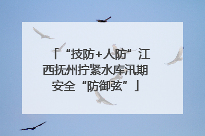 “技防+人防”江西抚州拧紧水库汛期安全“防御弦”