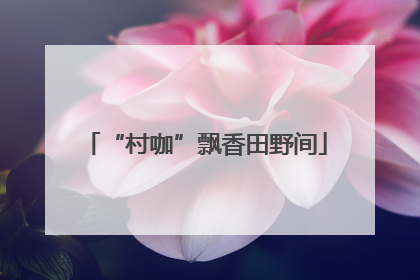 “村咖”飘香田野间