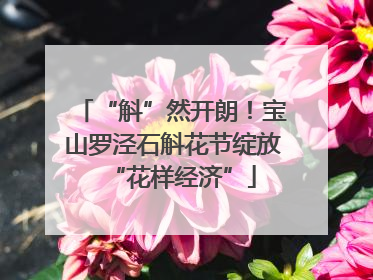“斛”然开朗！宝山罗泾石斛花节绽放“花样经济”