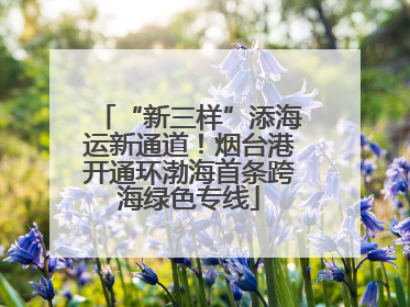 “新三样”添海运新通道！烟台港开通环渤海首条跨海绿色专线