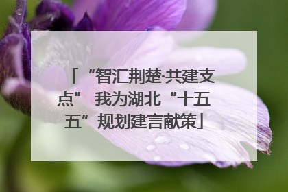 “智汇荆楚·共建支点” 我为湖北“十五五”规划建言献策