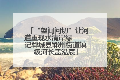 “望闻问切”让河道重现水清岸绿——记郓城县郓州街道镇级河长孟泓辰