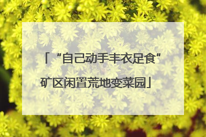 “自己动手丰衣足食”矿区闲置荒地变菜园
