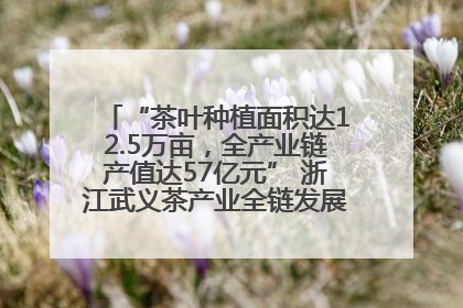 “茶叶种植面积达12.5万亩，全产业链产值达57亿元” 浙江武义茶产业全链发展“加速度”