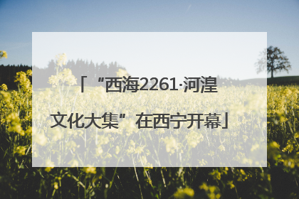 “西海2261·河湟文化大集”在西宁开幕
