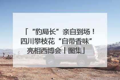 “豹局长”亲自到场！四川攀枝花“自带香味”亮相西博会丨图集