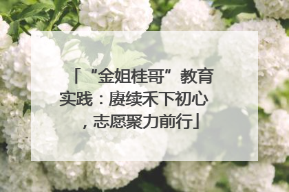 “金姐桂哥”教育实践：赓续禾下初心，志愿聚力前行