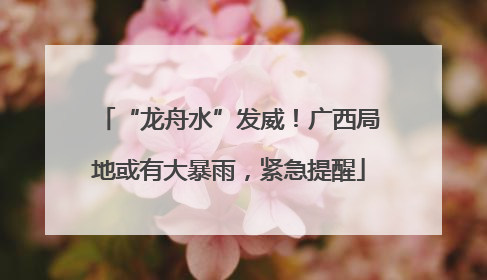 “龙舟水”发威！广西局地或有大暴雨，紧急提醒