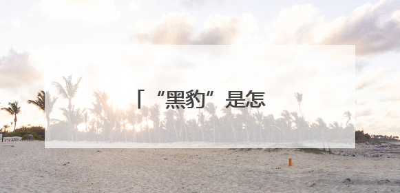 “黑豹”是怎样炼成的？